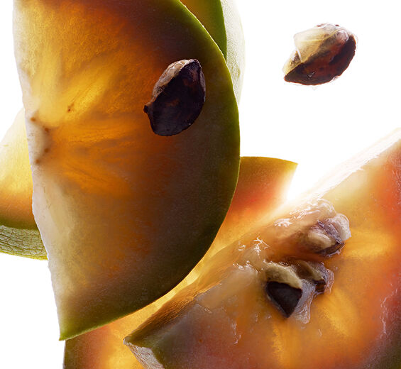 Star apple tree-Vu sua extract-Chrysophyllum cainito fruit extract