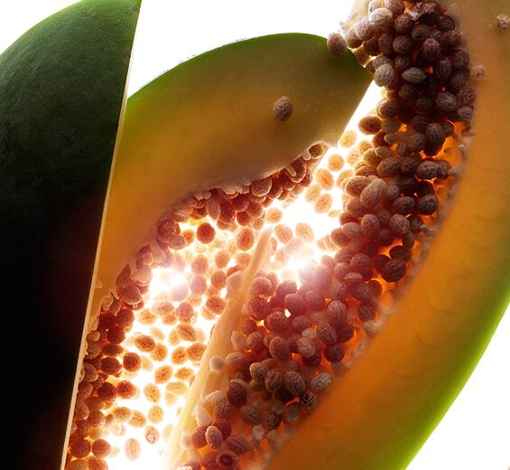 Papaya-Stabilized papain-Papain