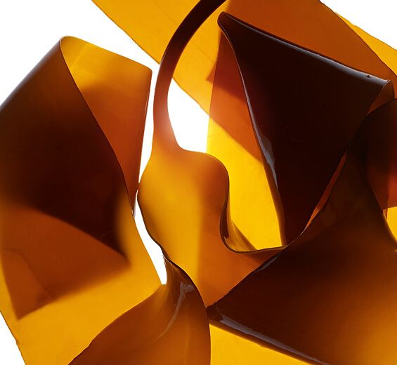 Laminaria-Laminaria extract-Laminaria digitata extract