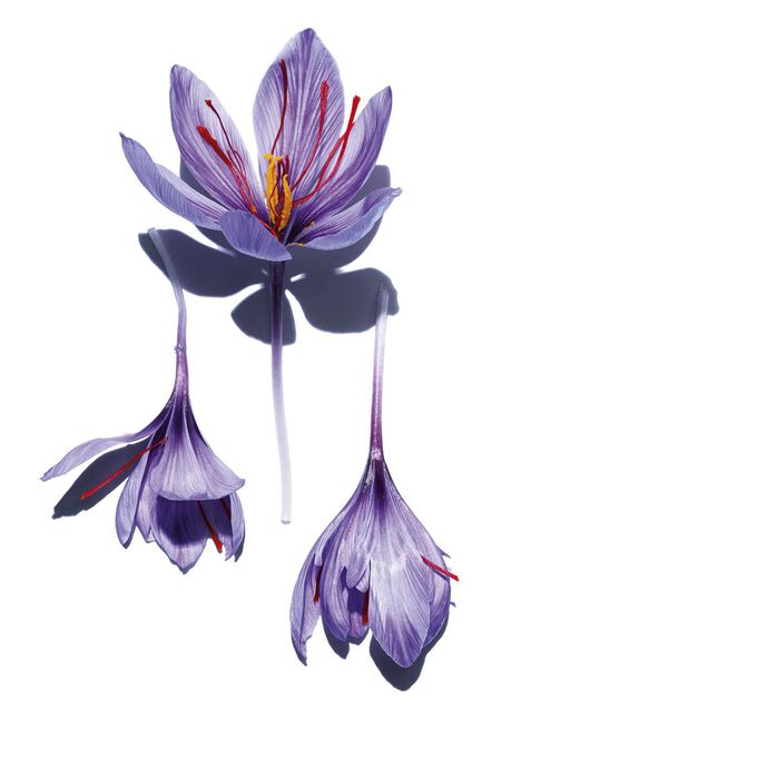 Hydra-Essentiel [HA²] Bi-Phase Serum