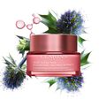 Multi-Active Night Cream (Dry Skin)