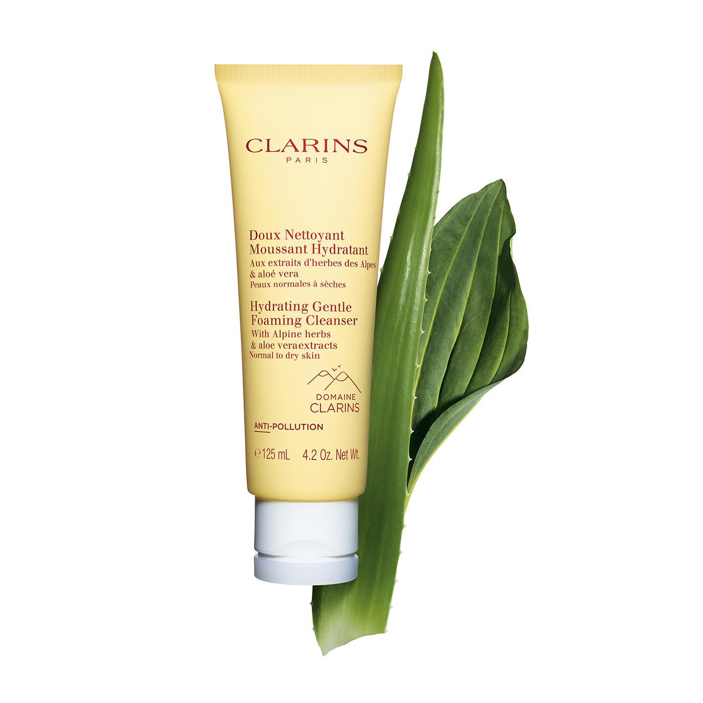 Hydrating Gentle Foaming Cleanser Dry Skin CLARINS Malaysia