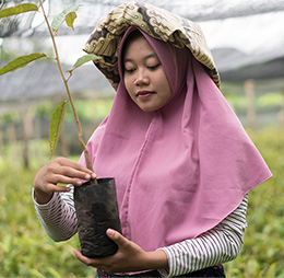 Seeds of beauty - Biodiversity preservation from Clarins Malaysia