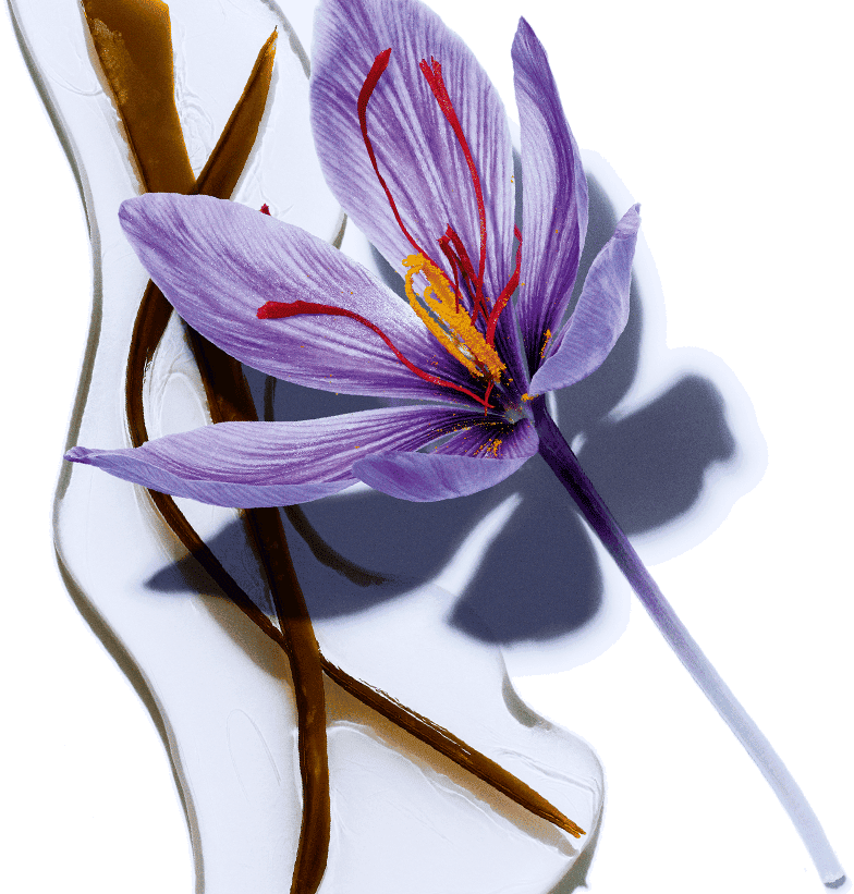  Seaweed & Organic Saffron Flower