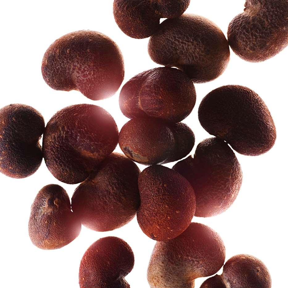 Baobab-Baobab extract-Hydrolyzed adansonia digitata extract