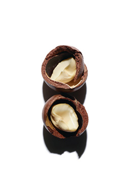 Macadamia oil ingredient