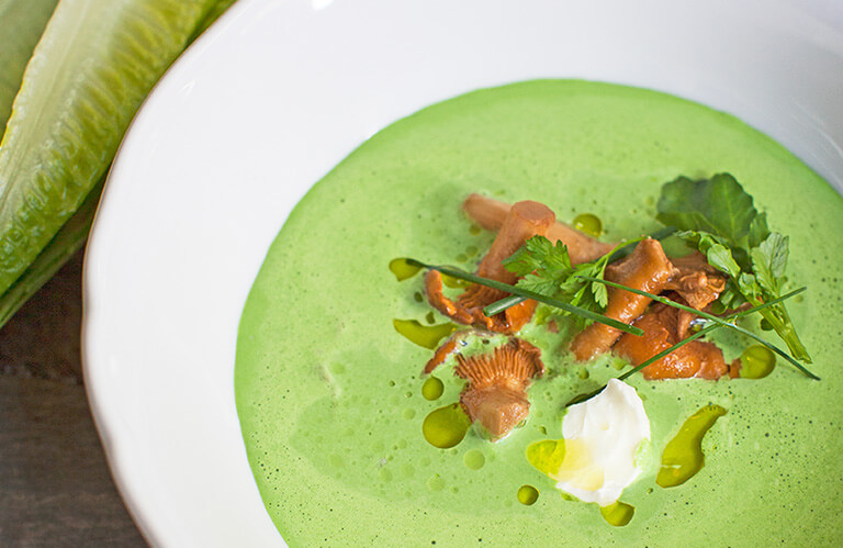 Soupe de salade, girolles marinées