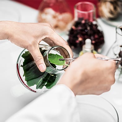 Hands using lab utensil to remove plant ingredient from jar