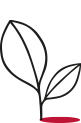 A plant design