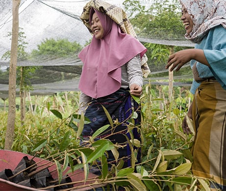 Fairtrade in Clarins' skincare production process
