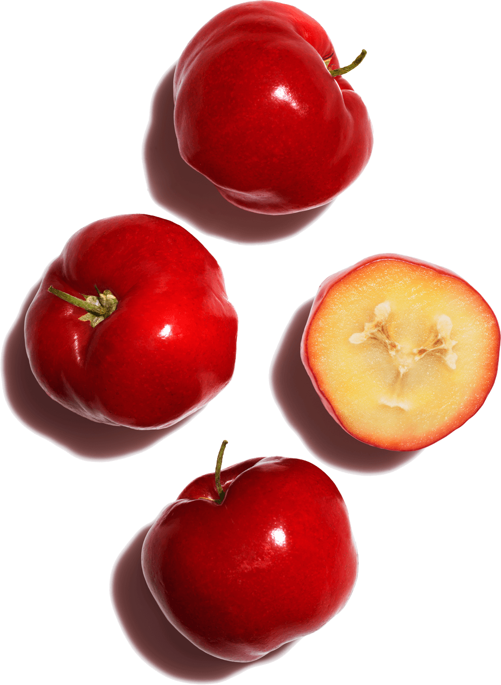 Acerola seed that helps to boost oxygen consumption