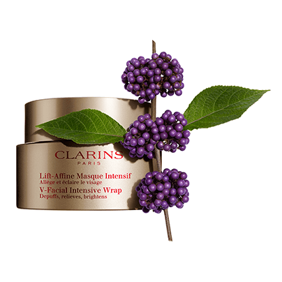 Callicarpa