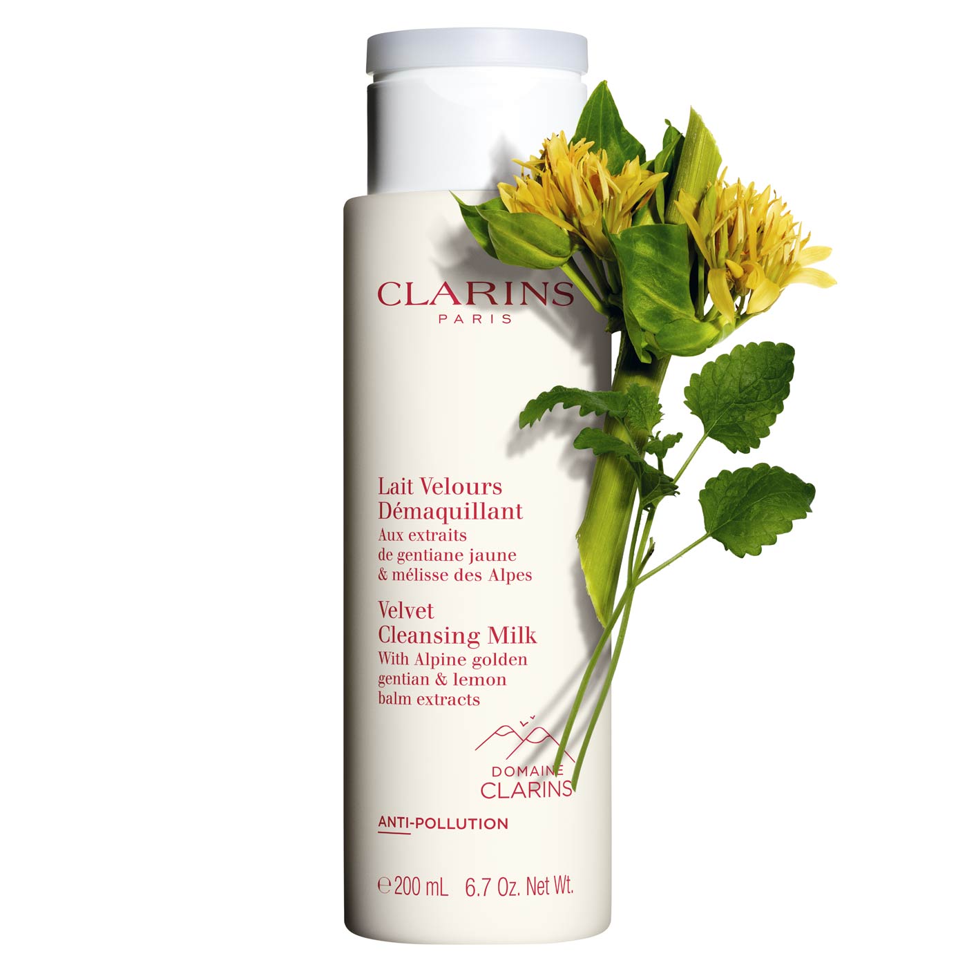 Clarins cleansing shop