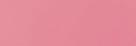 15 blush camellia